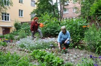 Цветоводы-фантазёры в нашем городе живут