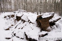 Эти бесхозные пригородные леса