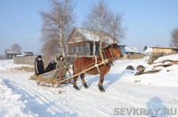 В колхозных санях  по последнему снегу