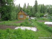 Переславль-Залесский  снова выбирает дорогу