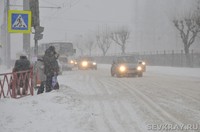 Красок на свете нет,  есть только белый цвет