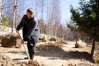 Петрович заложил аллею здоровья