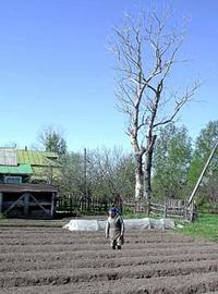 В Барском жизнь не барская